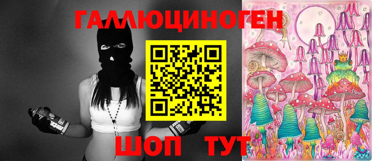 Псилоцибиновые грибы Psilocybine cubensis Дятьково