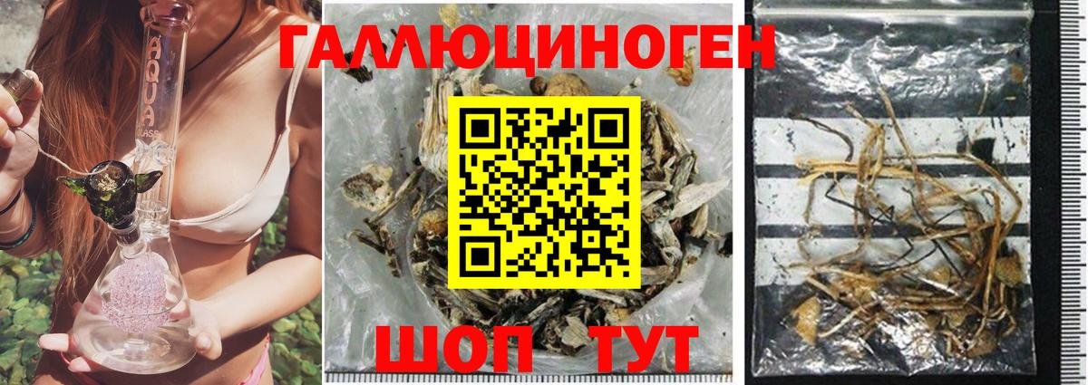 Псилоцибиновые грибы мицелий  Вход с VPN  цены   Дятьково 