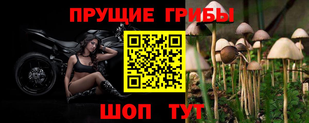 Галлюциногенные грибы Magic Shrooms  Дятьково  Псилоцибиновые грибы MAGIC MUSHROOMS 